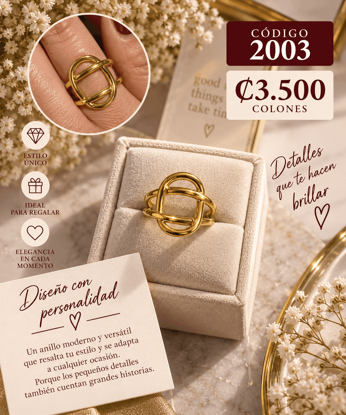 Anillo 2003