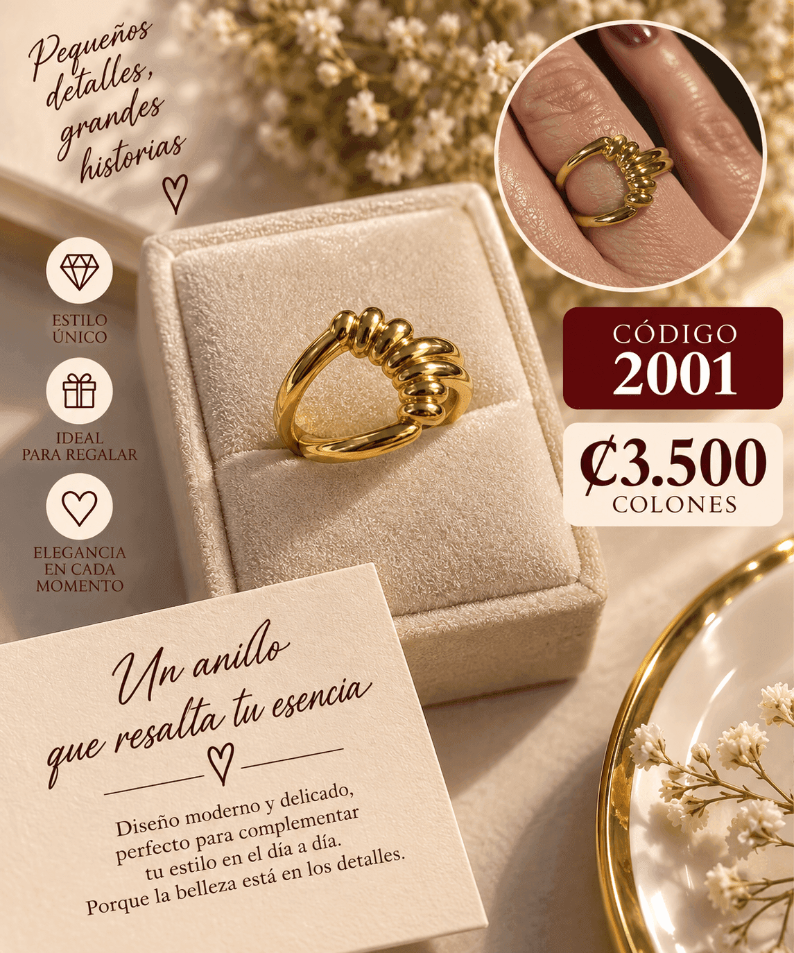 Anillo 2001